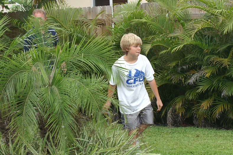 Focusing with horseshoes