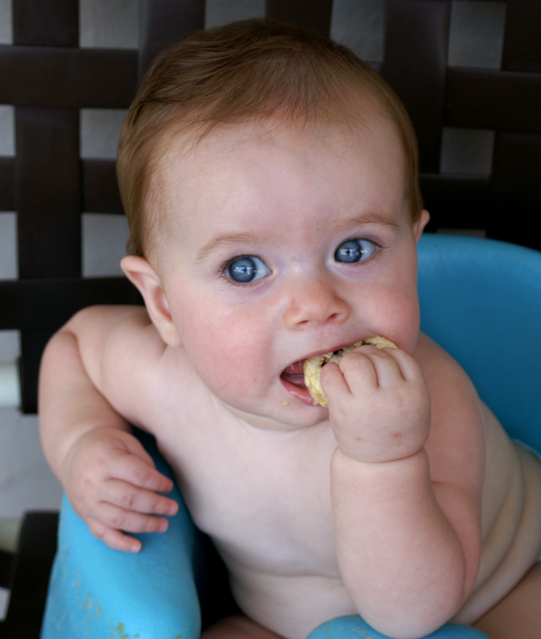 Harper gets a cookie