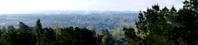 View from backyard 1