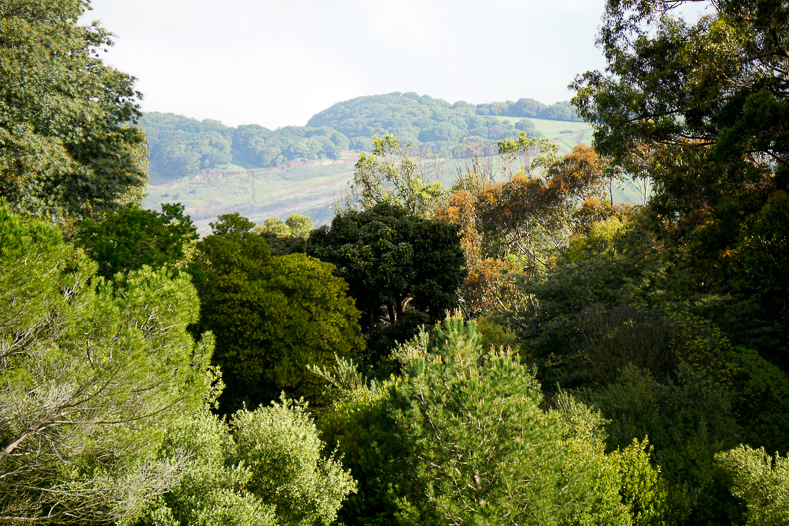 nearby view of park