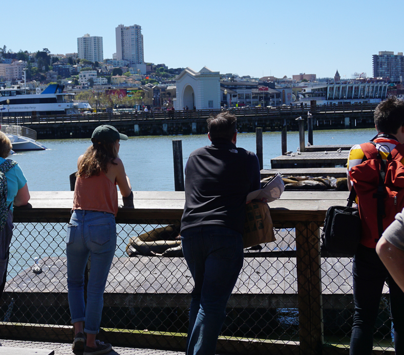 Megan loves watching the seals