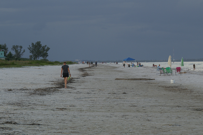 Mary looking for shells