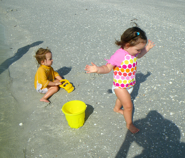 The Beach: nature's playground